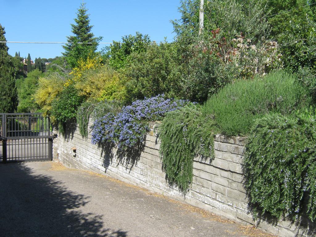 La Villa Di Lucia Viterbo Eksteriør billede